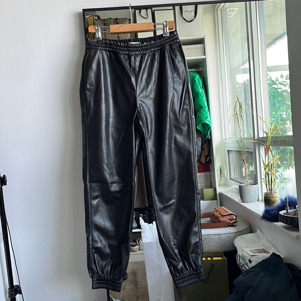 Aritzia Babaton faux leather pants. Small